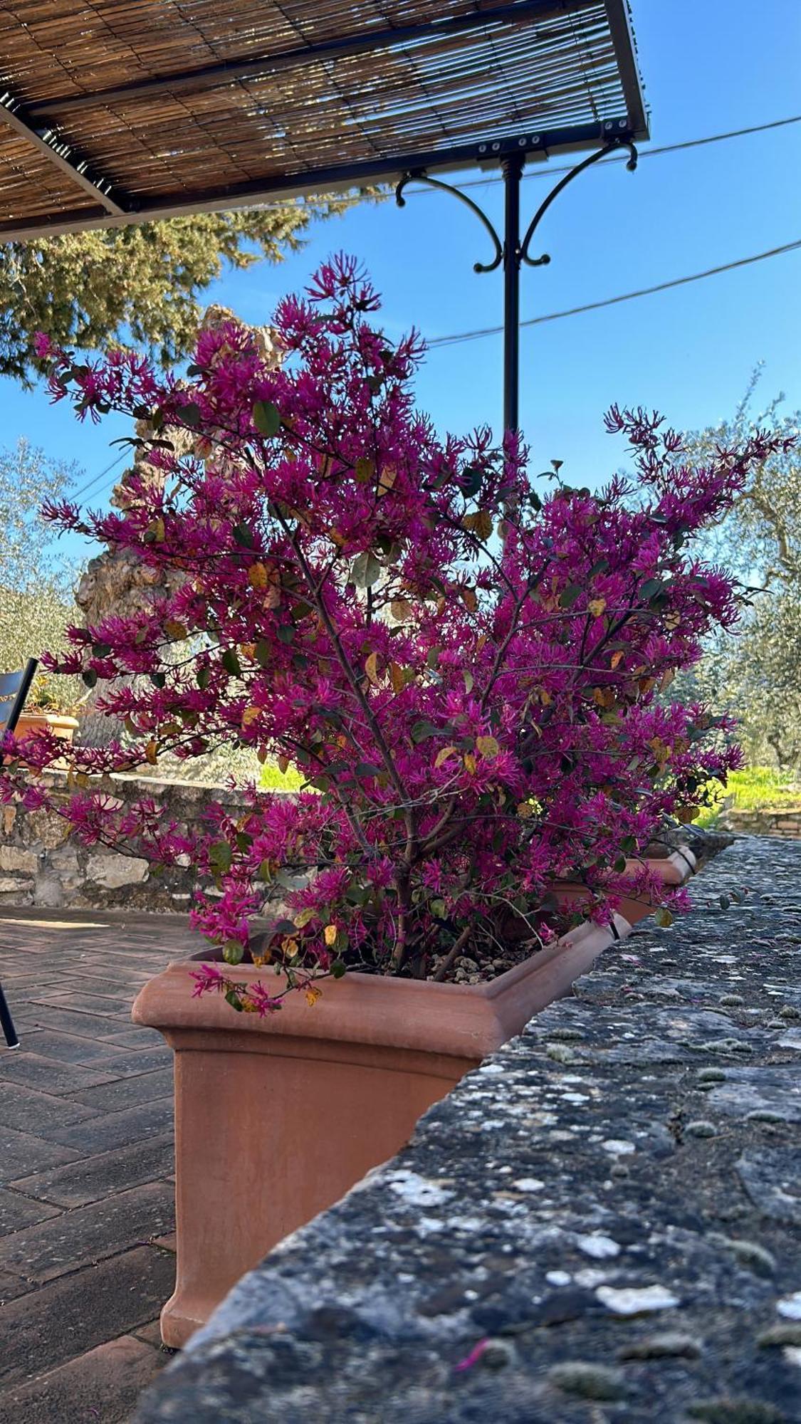 Borgo A Monti Di Sotto Villa Gaiole in Chianti Kültér fotó